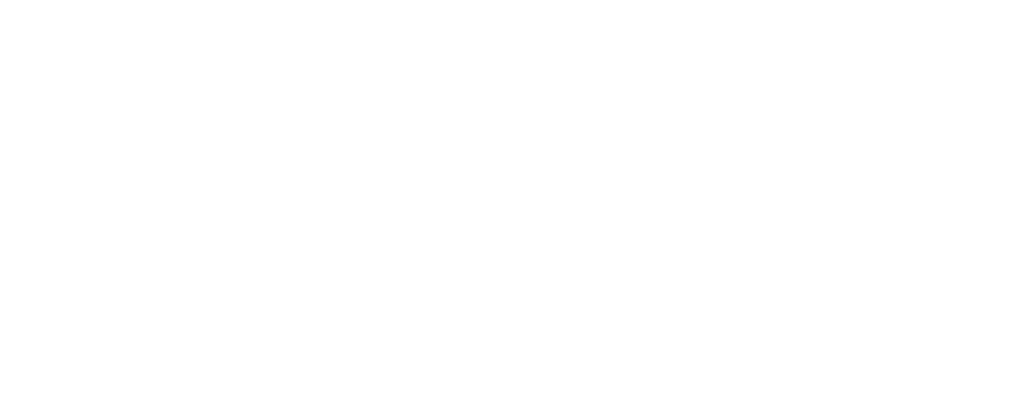 Baysan Logo